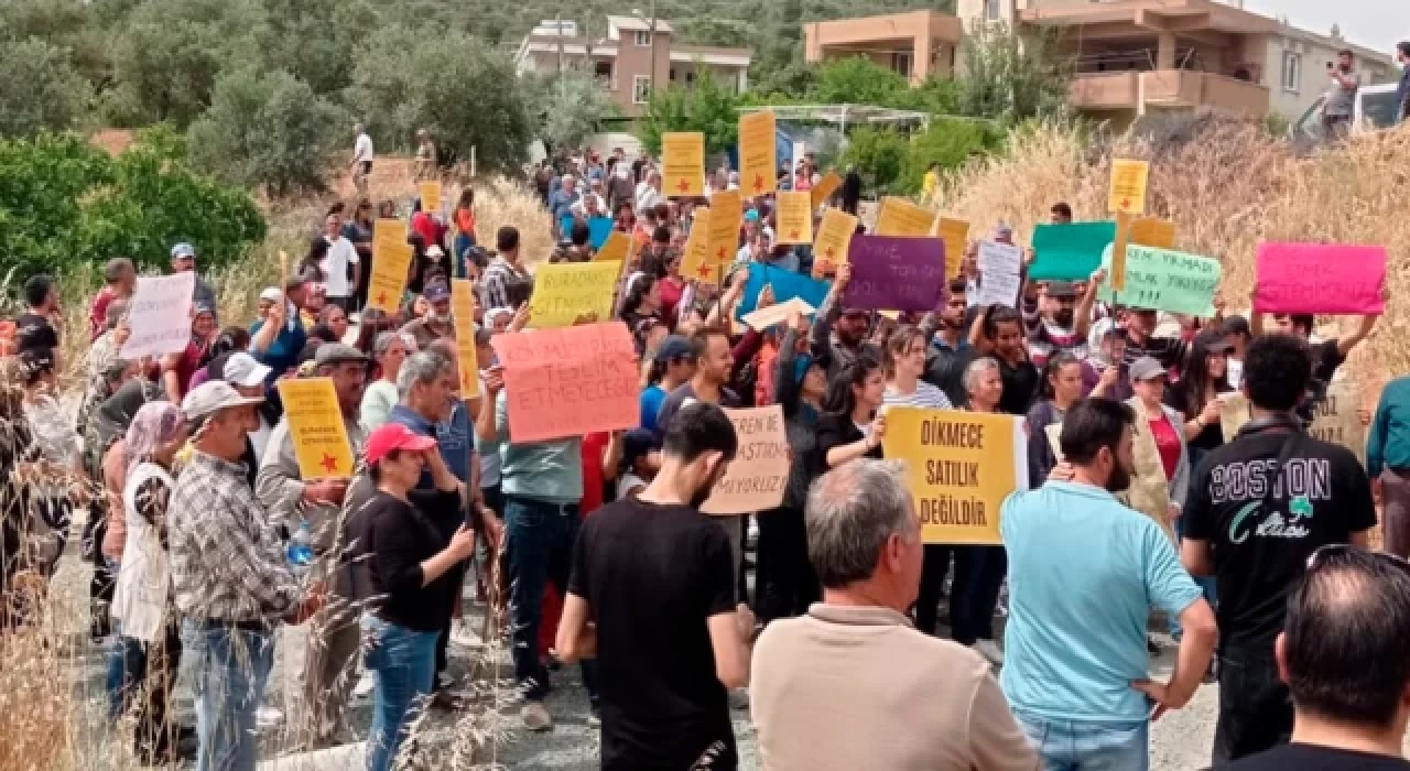 Antakya'da zeytinliğe yapılacak TOKİ konutuna yargıdan ilk durdurma kararı geldi