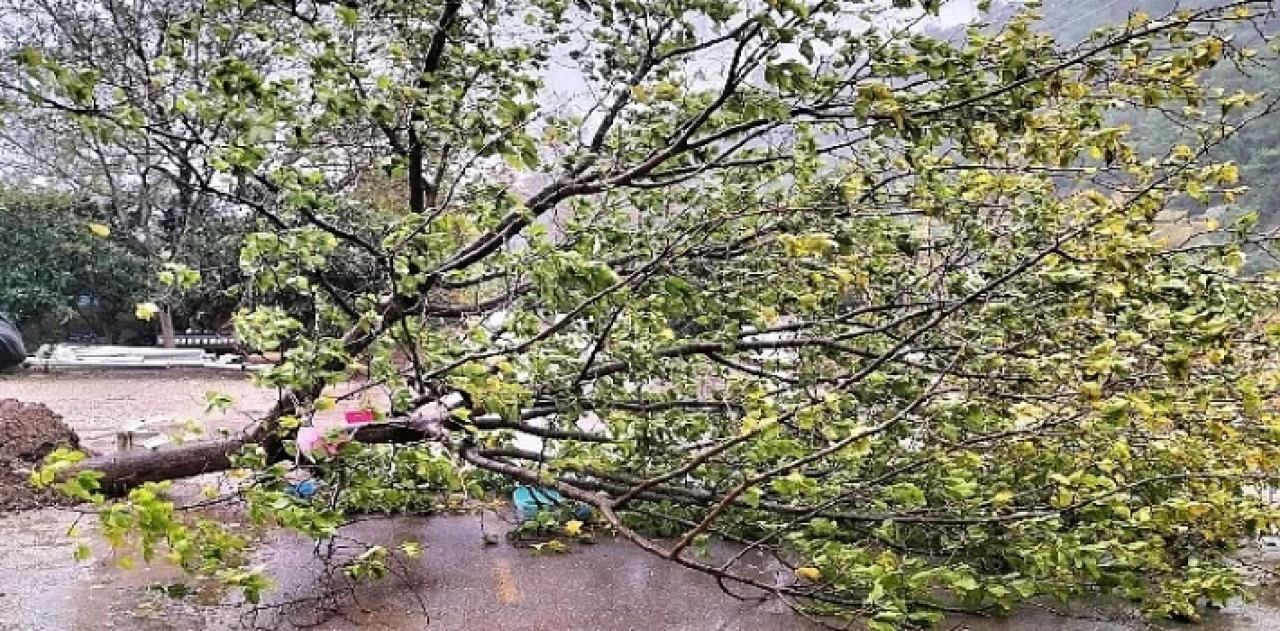 Kemer Belediye ekipleri teyakkuzda