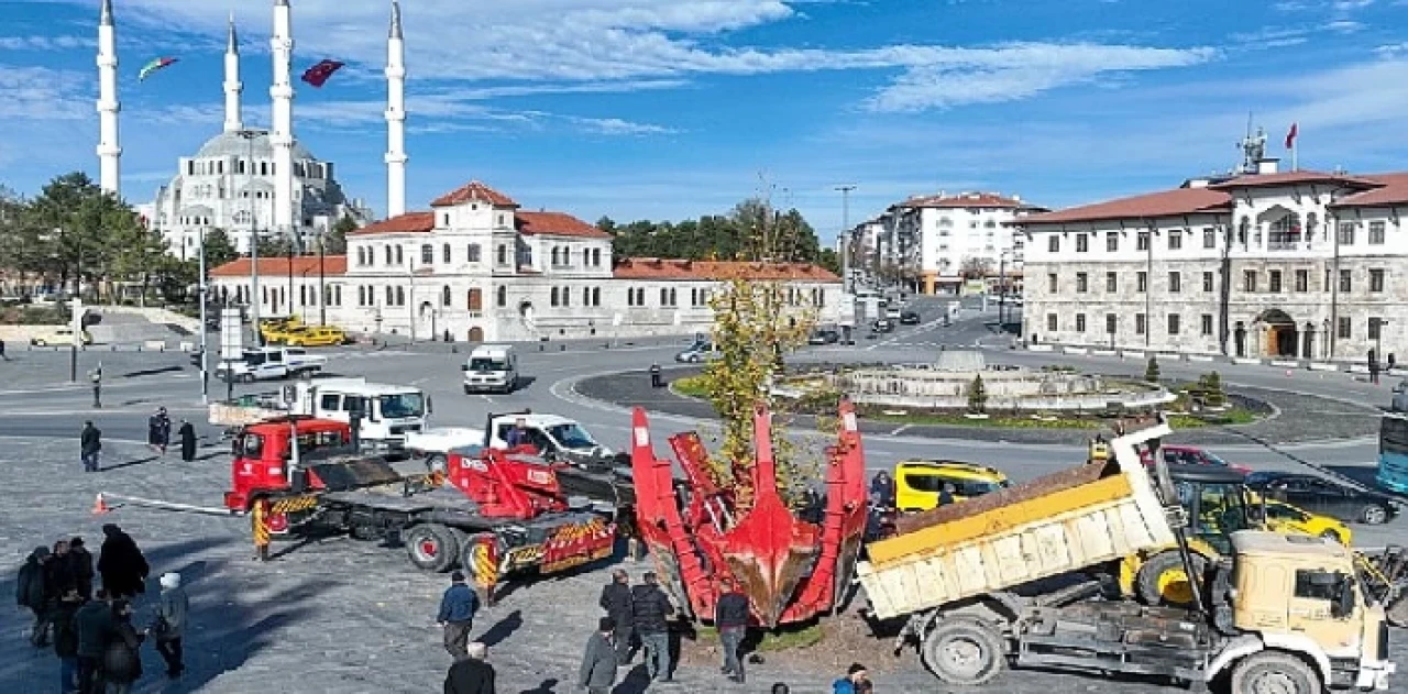 Meşhur ”tek ağaç” asırlık çınar ile değiştirildi