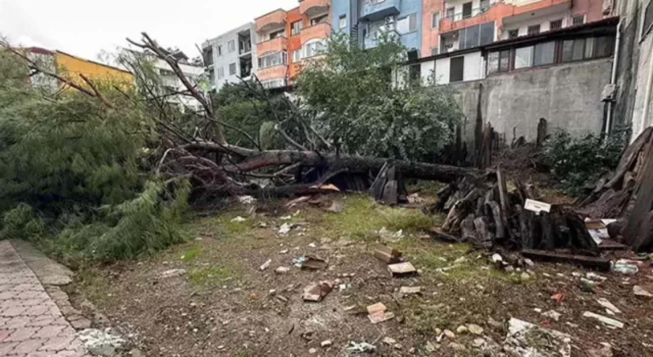 Muğla'da korkutan hortum; Çatılar uçtu, ağaç ve direkler devrildi