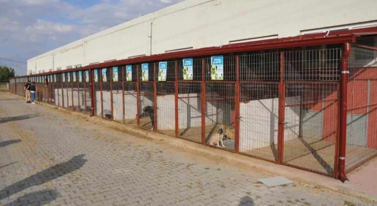 Avukat Hakları Grubu’ndan Konya’daki hayvan barınağına yönelik suç duyurusu