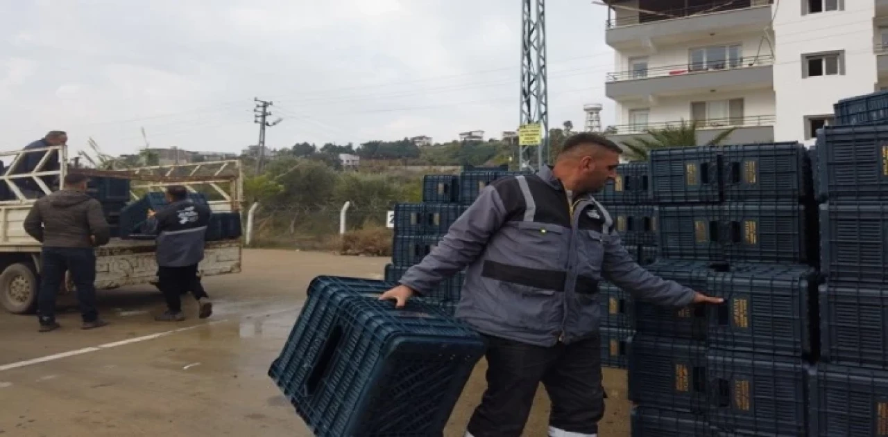 Hataylı zeytin üreticisine sandık dağıtımı