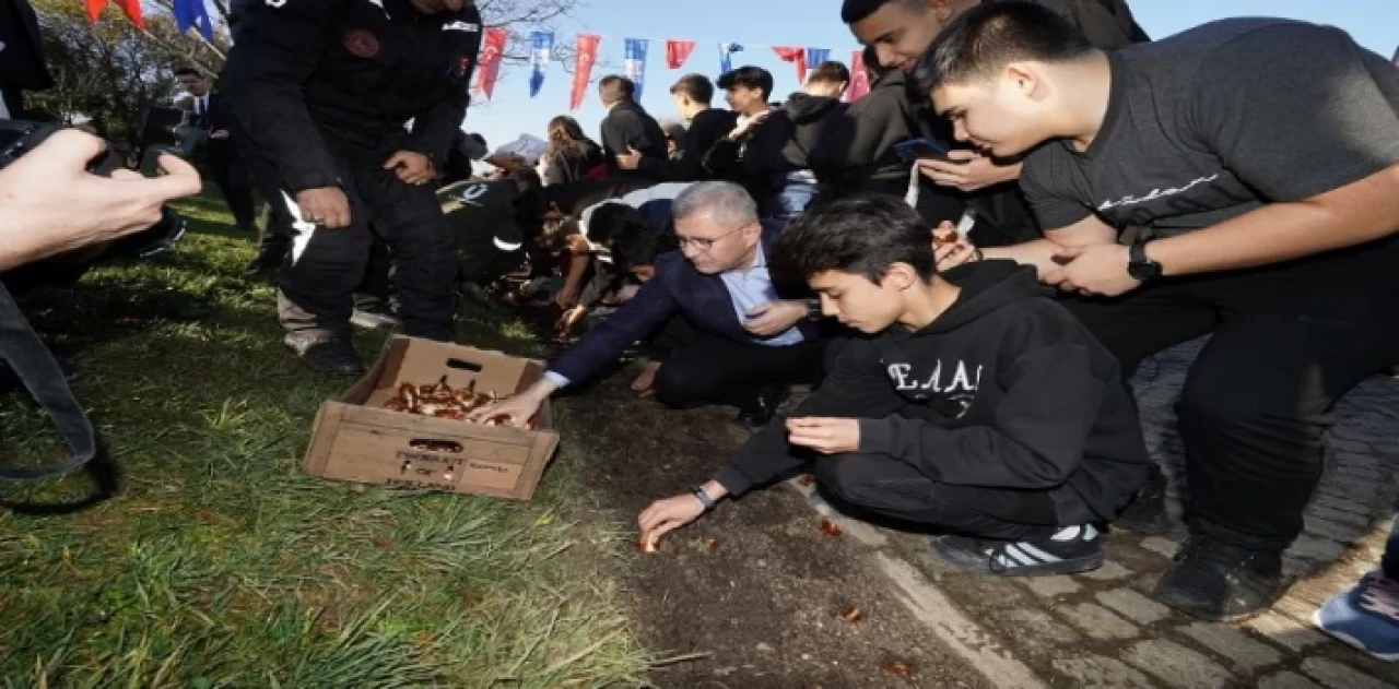 İstanbul’da laleler Üsküdar’da toprakla buluştu