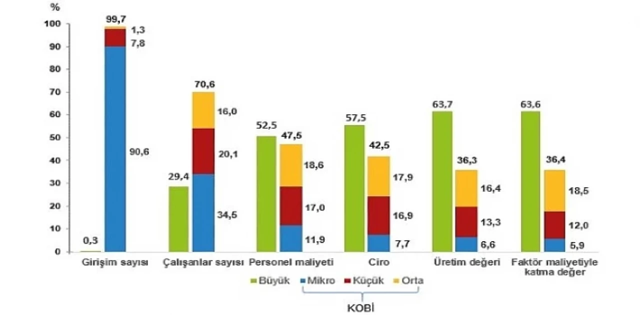 Küçük ve Orta Büyüklükteki Girişim İstatistikleri, 2022