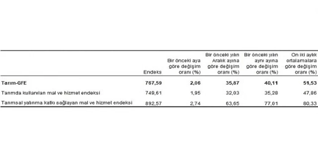 Tarımsal girdi fiyat endeksi (Tarım-GFE) yıllık yüzde 40,11, aylık yüzde 2,06 arttı