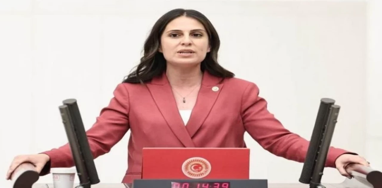 CHP Muğla Milletvekili Özcan: ”Bu yatırım programı haksızlık sertifikasıdır”