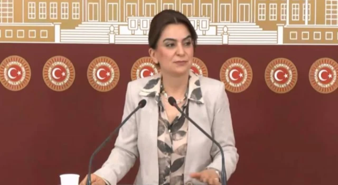 DEM Parti: Başak Demirtaş'ın yaptığı adaylık açıklaması bizim açımızdan resmi başvuru niteliğindedir