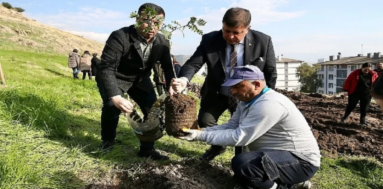 Karşıyaka’da ağaç varlığı hızla artmaya devam ediyor