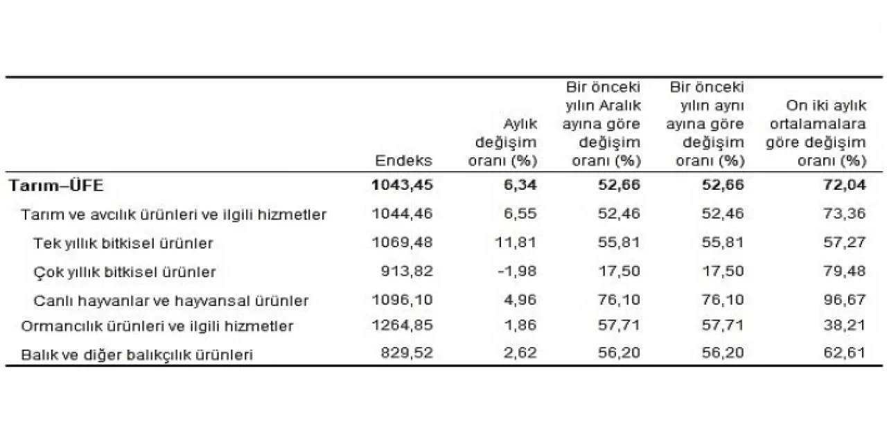 Tarım ürünleri üretici fiyat endeksi (Tarım-ÜFE) yıllık yüzde 52,66, aylık yüzde 6,34 arttı