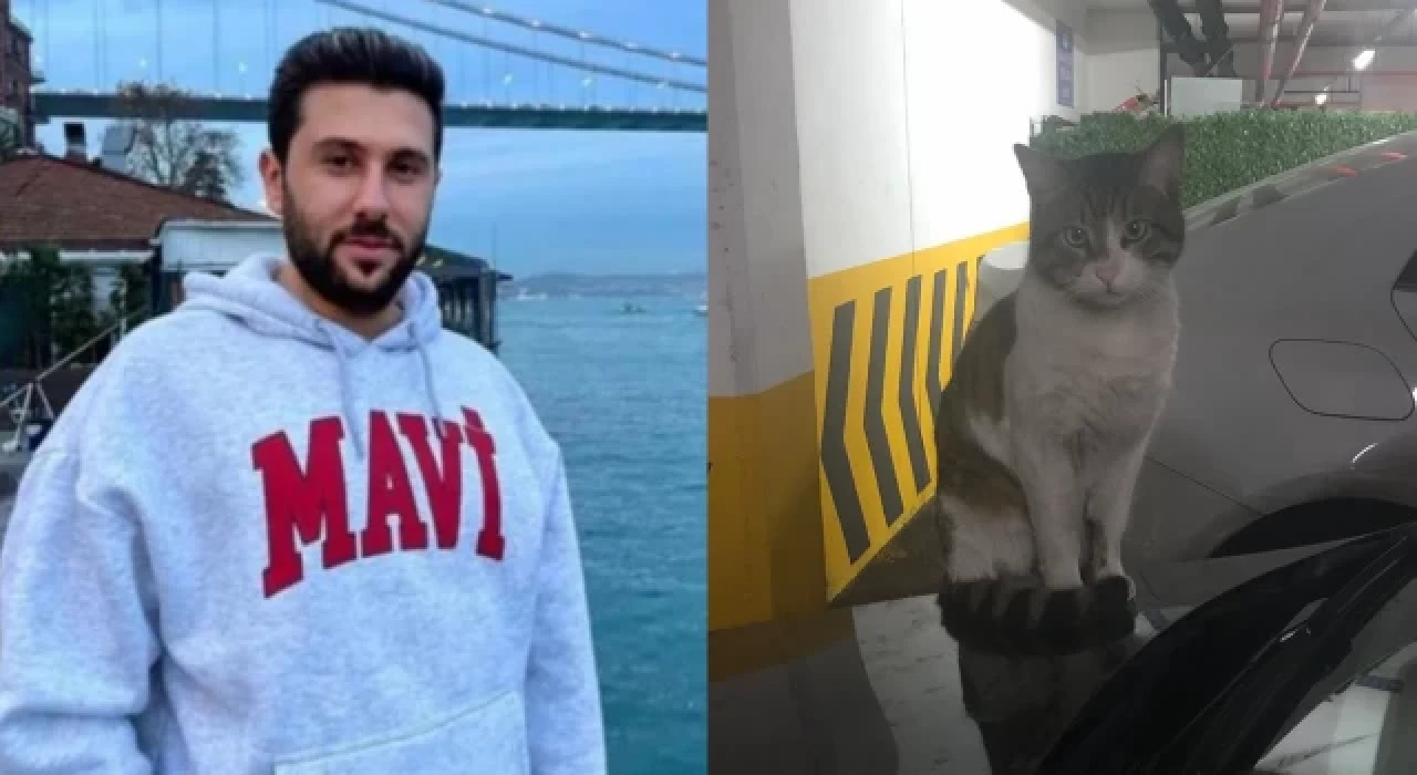 Kedi katliamcısı İbrahim Keloğlan’ın tutuklanması isteniyor!