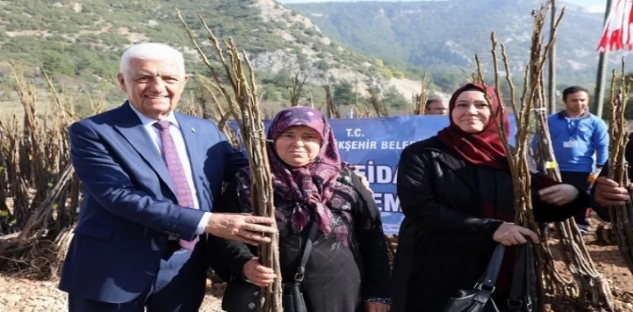 Muğla Büyükşehir Belediyesi çiftçiye fidan desteği