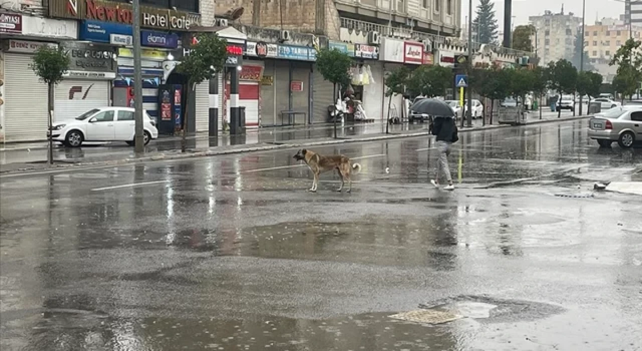 Şanlıurfa'da sağanak nedeniyle eğitime ara verildi