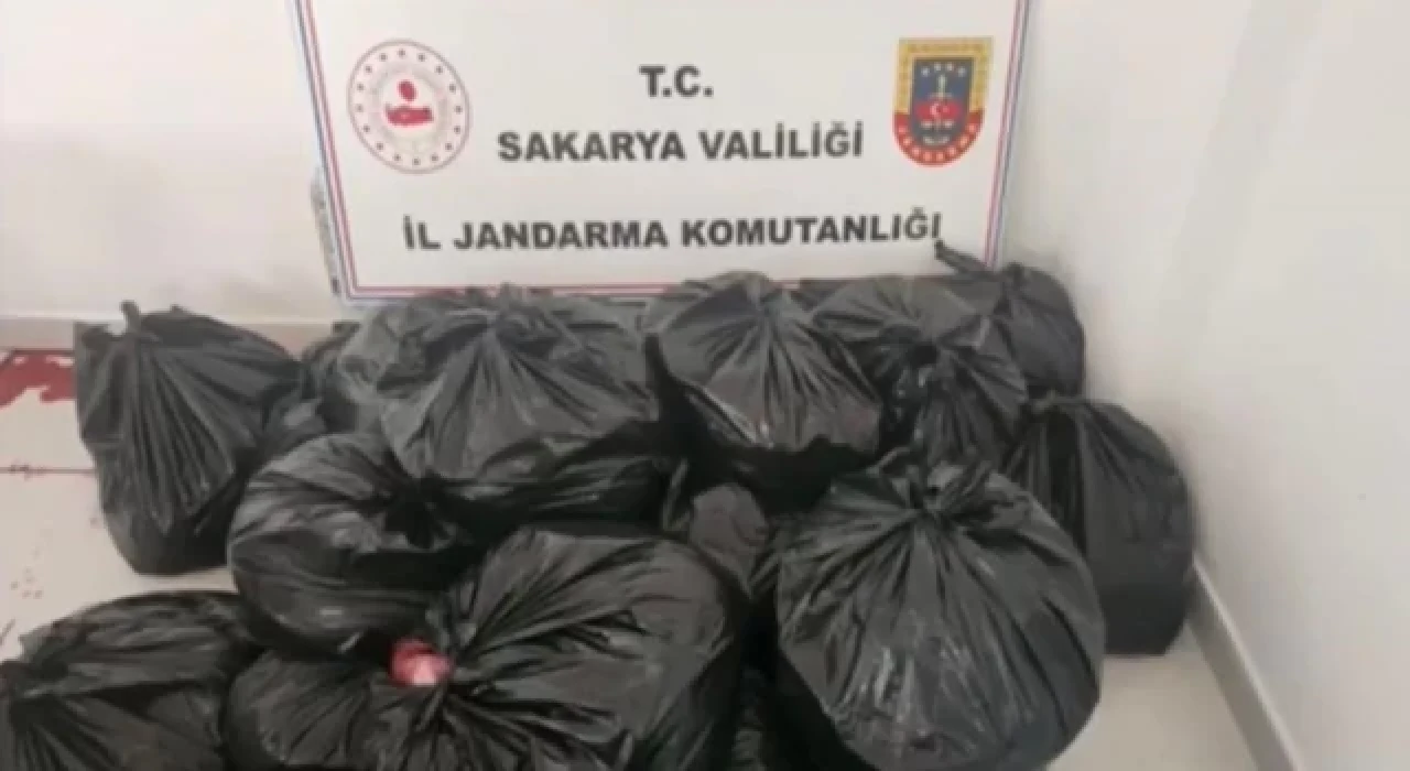 Sakarya'da durdurulan tırda 700 kilo at ve eşek eti ele geçirildi