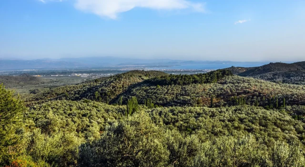 Kazdağları’ndaki 10 hektarlık alanı yok edebilecek proje!