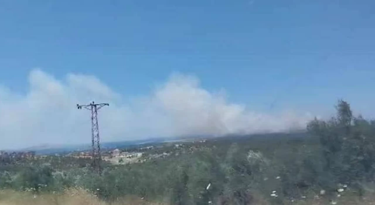 Çanakkale'de orman yangını çıktı