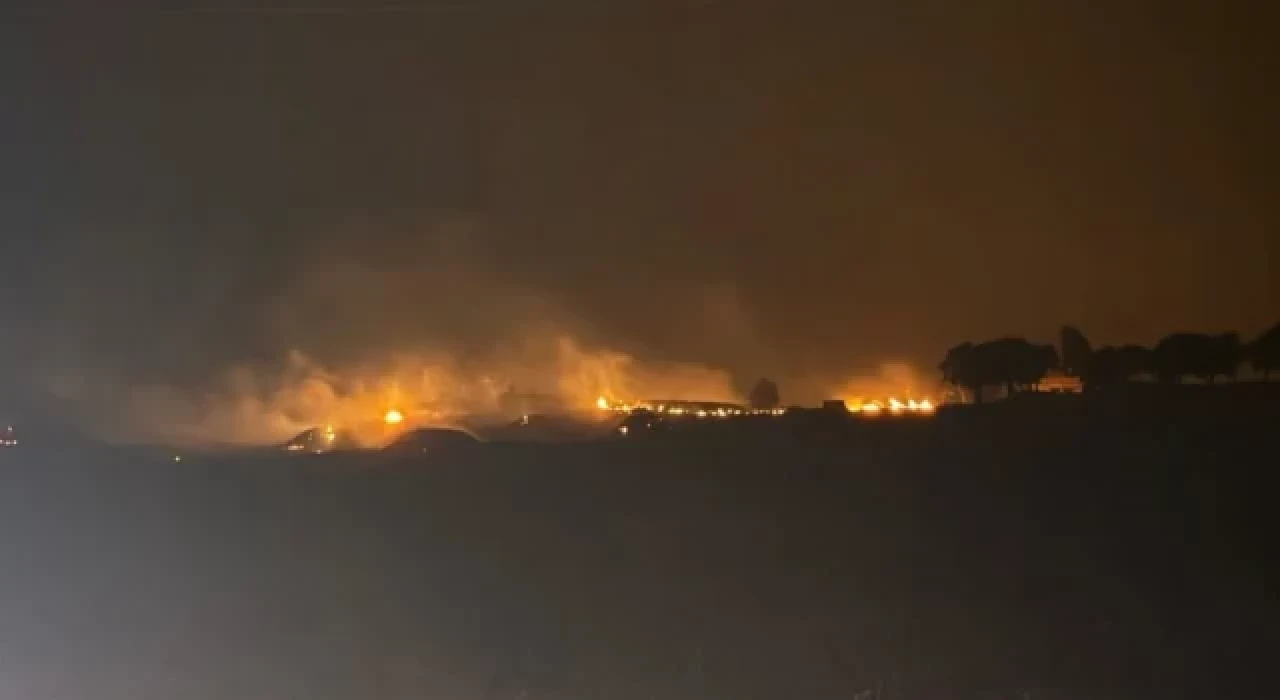 Dicle Elektrik'ten anız yangınına ilişkin yeni açıklama: Suç duyurusunda bulunuldu