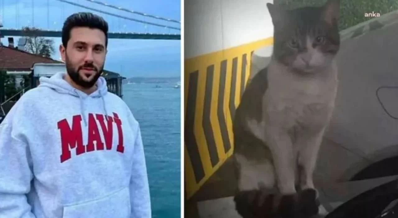 Kedi ''Eros''u öldüren sanık İbrahim Keloğlan'ın cezasının artırılması talebi reddedildi