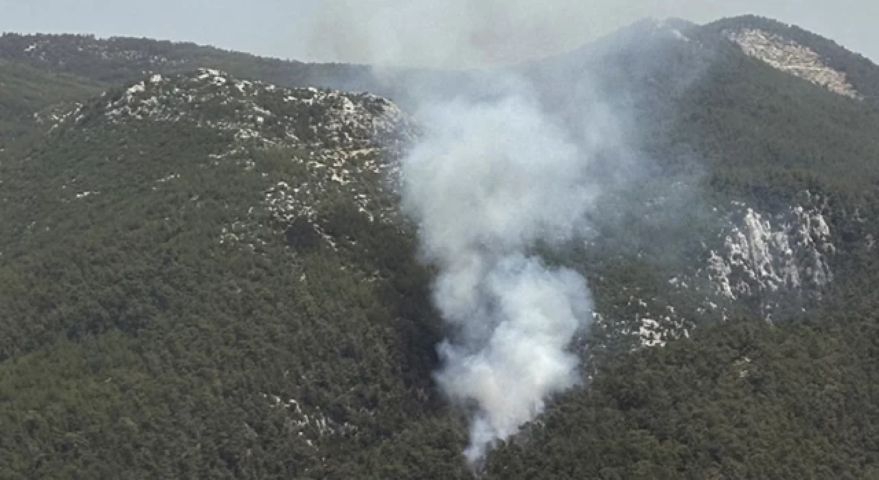 Muğla'nın Milas ilçesinde orman yangını çıktı