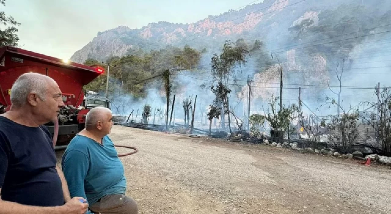 Olimpos'taki ünlü "Kadir'in Ağaç Evleri" tamamen yandı