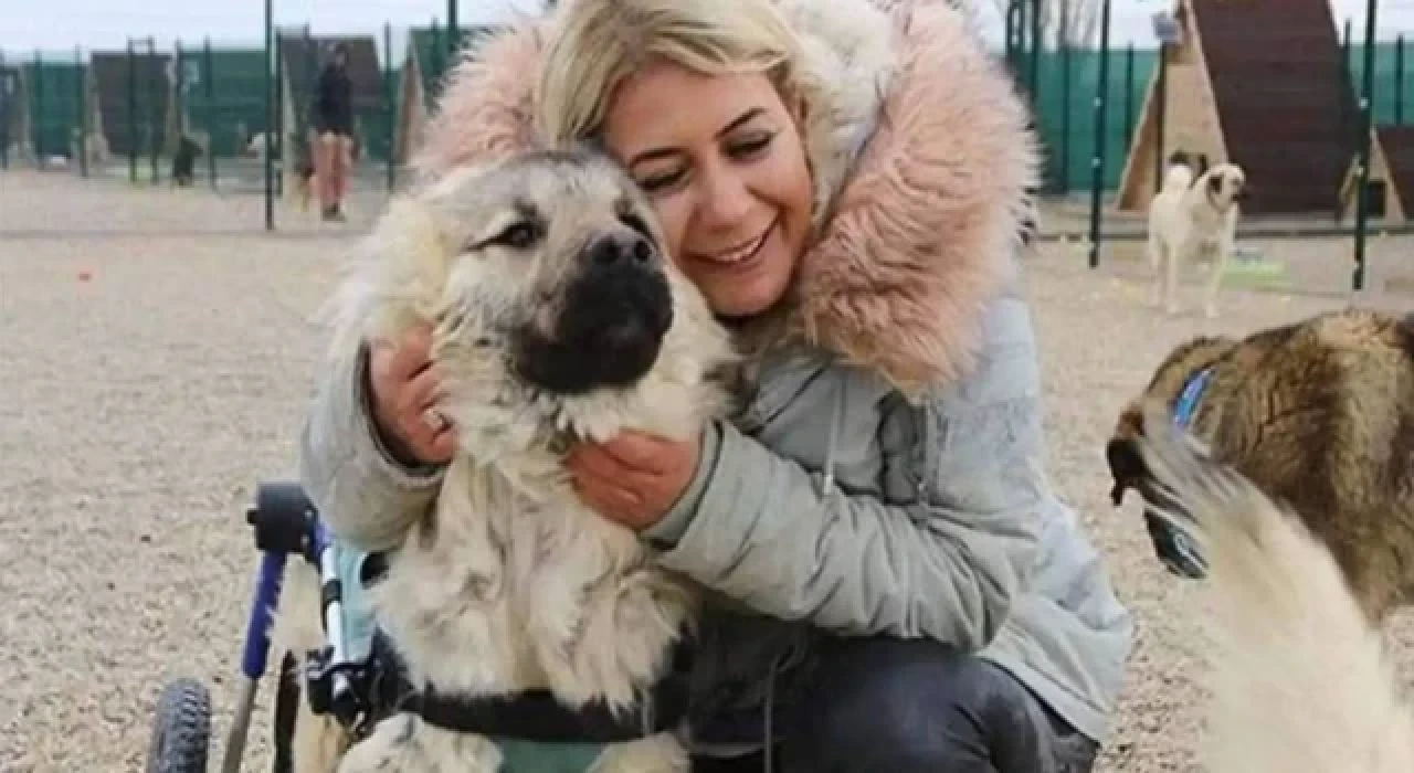 Şanlıurfa'dan Ankara'ya kuduz köpekleri getirdiği iddiasıyla tutuklanan Buket Özgünlü Boyacı, tahliye edildi