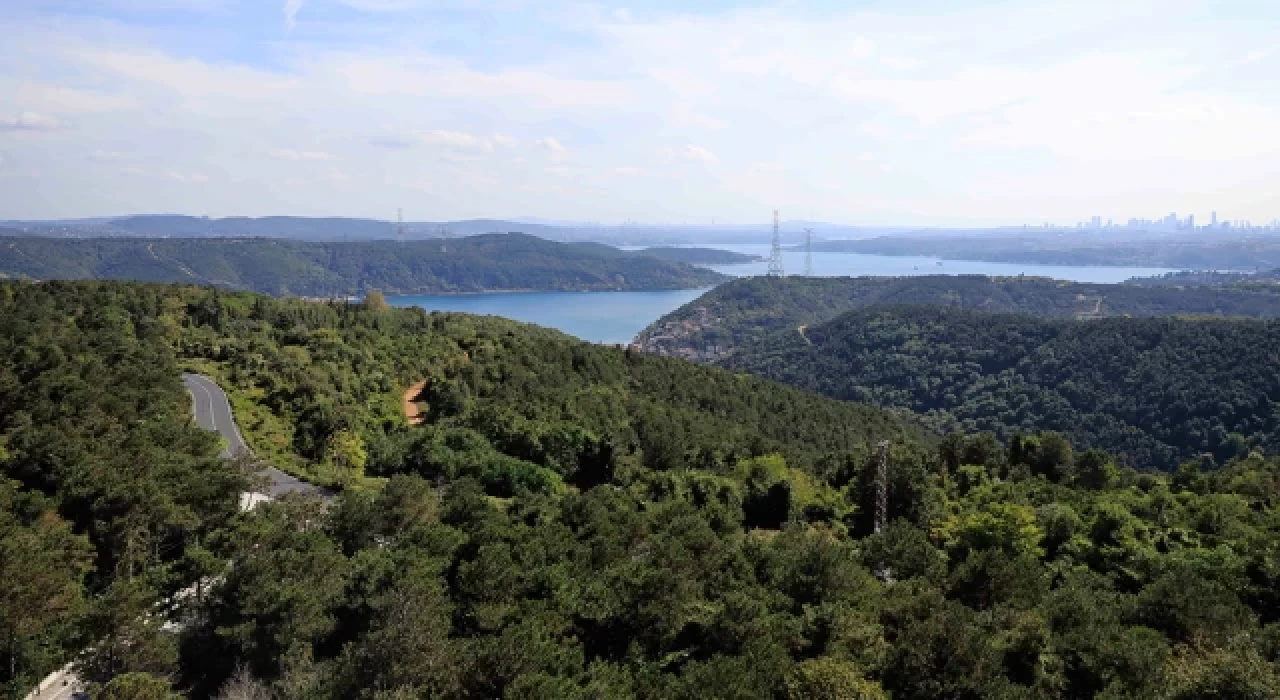 CHP’li Adem: “İstanbul'un akciğerleri yok ediliyor: Kuzey Ormanları rant uğruna kurban ediliyor”