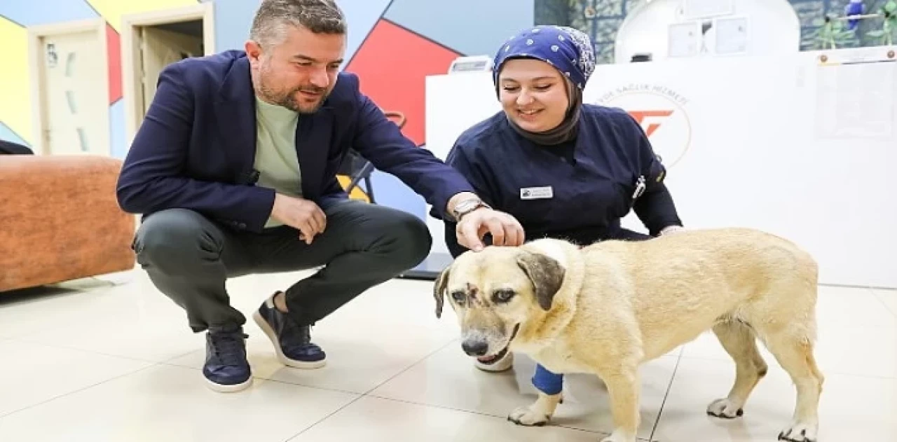 Saldırıya uğrayan can dostuna Buca Belediye Başkanı Duman’dan ziyaret