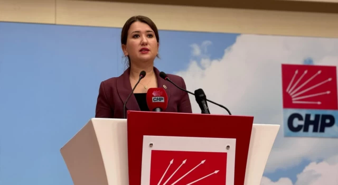 CHP’li Gökçen: 2024 yılında Instagram’ı kapatmanın, sokaktaki vatandaşın ağzını kapatmaktan farkı yok