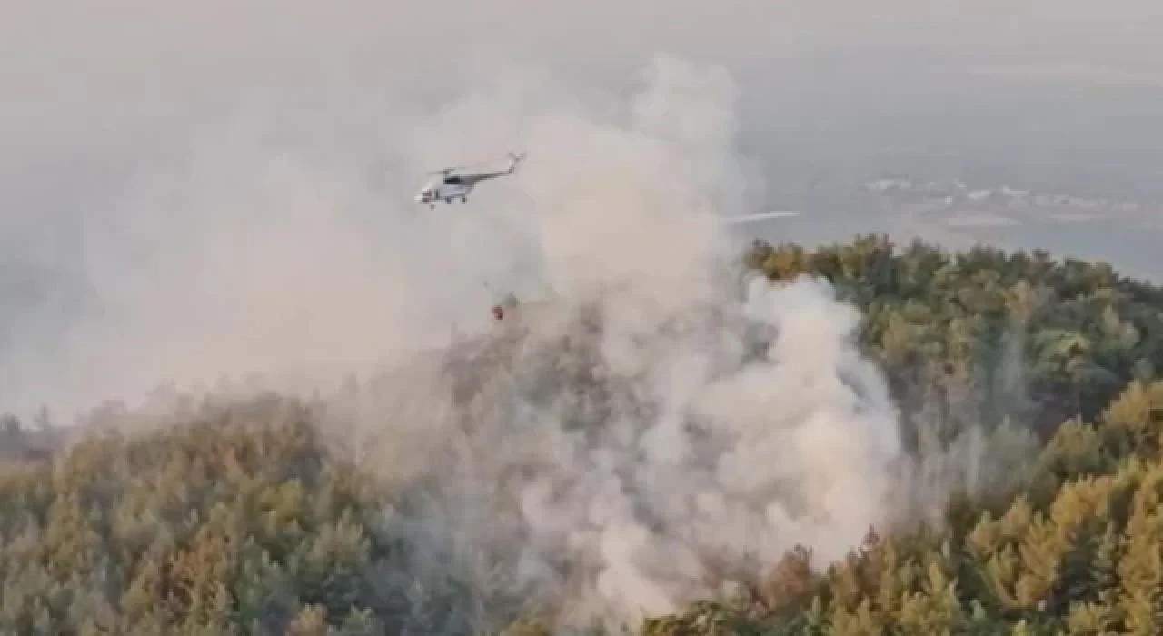 Muğla ve Aydın'daki orman yangınları kontrol altına alındı