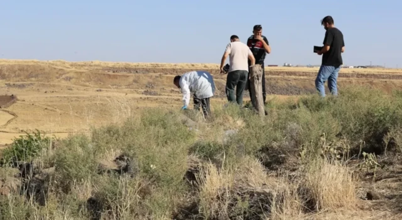 Valilikten Narin açıklaması: Kanlar başka çocuğa ait