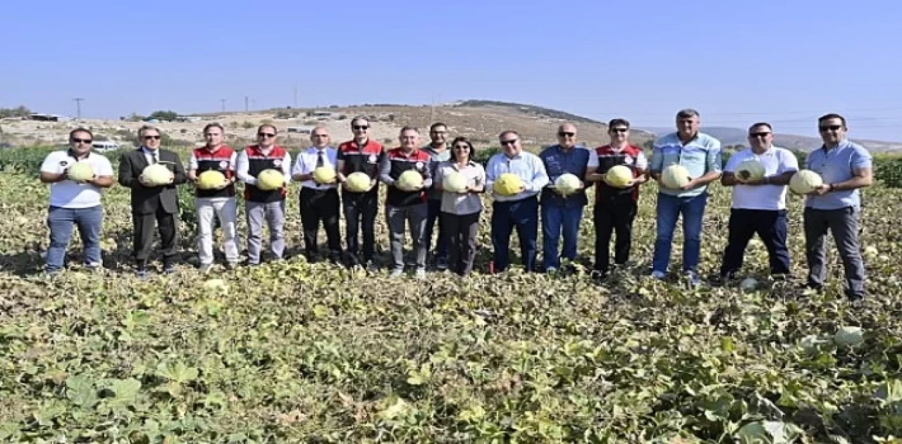 Foça’da 5. Geleneksel Kavun Hasat Şenliği Coşkuyla Kutlandı