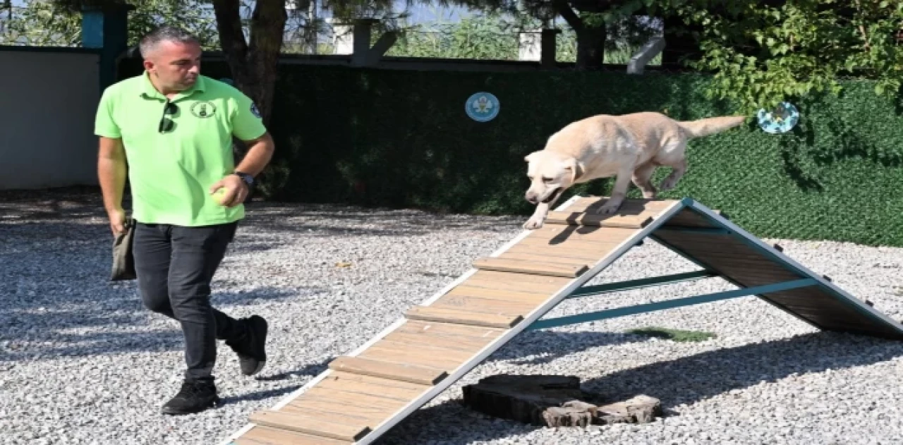 ’Tanyel’ çocukların can yoldaşı oldu