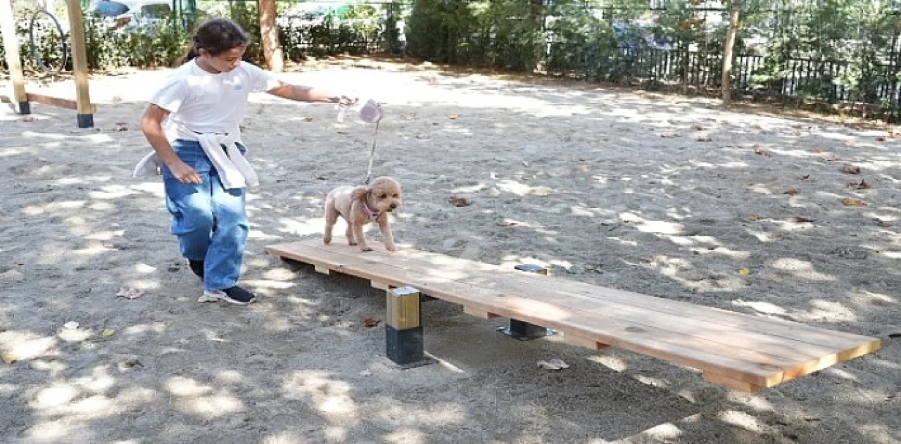 Hayvanları Koruma Günü’nde Kadıköy’de ”Pati Park” Açıldı