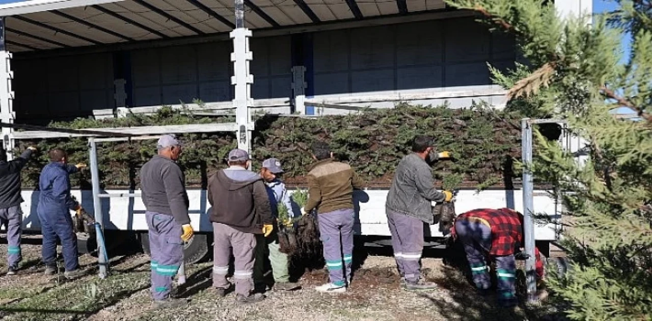 Nevşehir tarihinin en büyük ağaçlandırma seferberliği başlıyor.