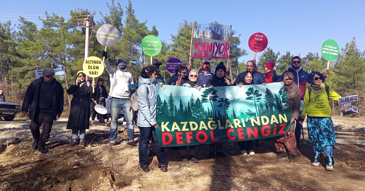 700 bine yakın ağacın katledildiği Kaz Dağları'nda orman köstebek yuvası oldu