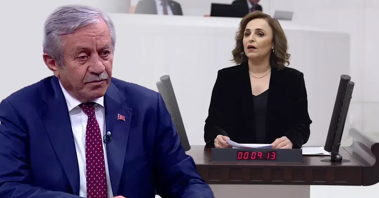 Celal Adan’ın, ‘Kürtçe selamlama’ izni verdiği Ayşegül Doğan’ın sözleri tutanaklara ‘ Türkçe olmayan kelime' olarak geçti