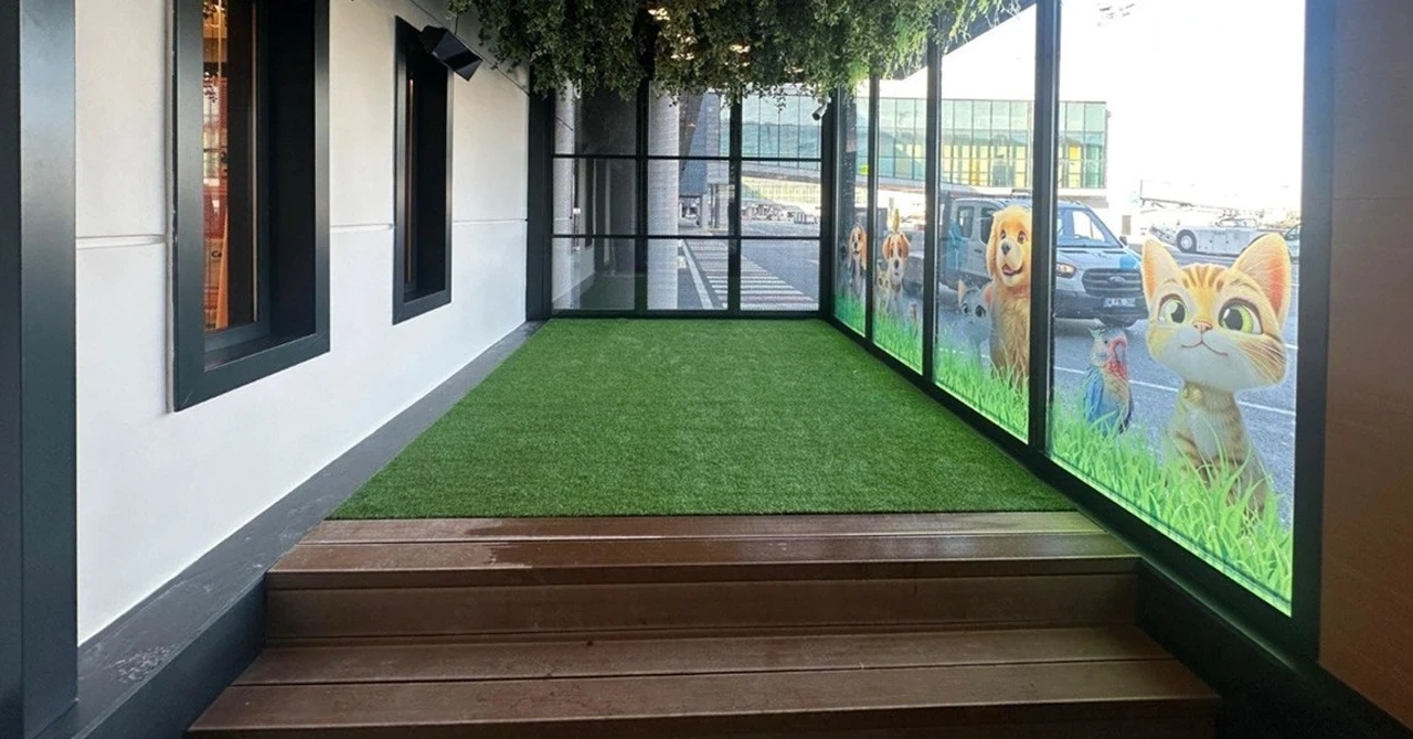 THY, evcil hayvanlar için İstanbul Havalimanı’nda Pet Lounge açtı