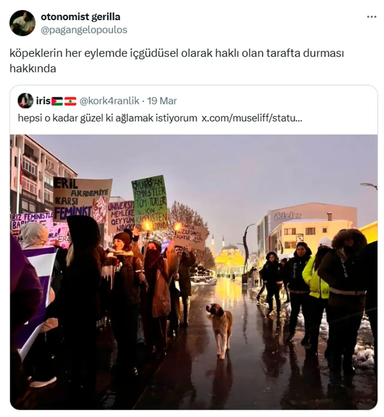 Eylemlerin sevimli destekçileri protestocu köpekler 3