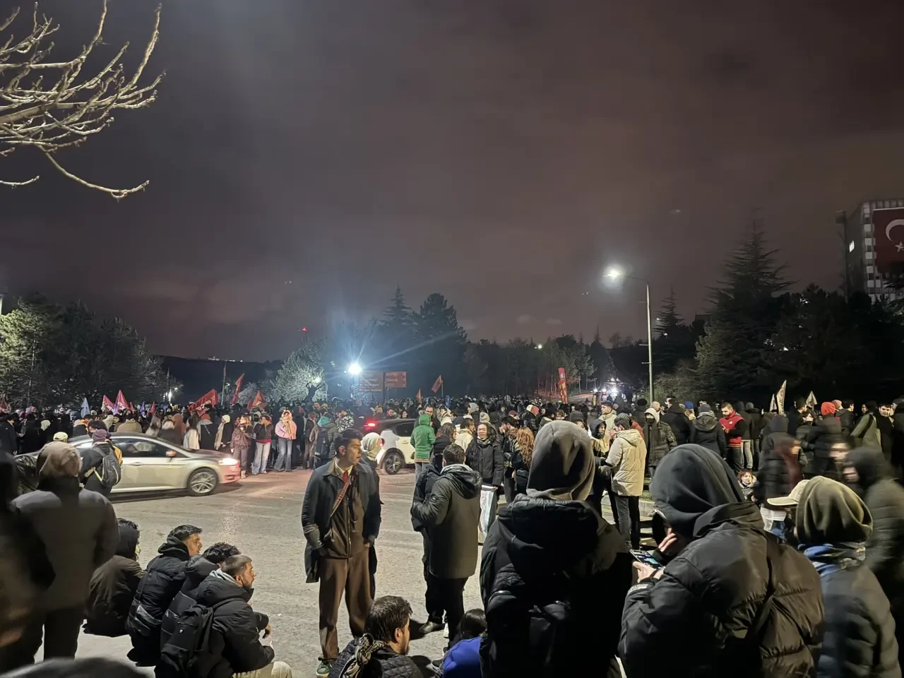 Eylemlerin sevimli destekçileri protestocu köpekler 1