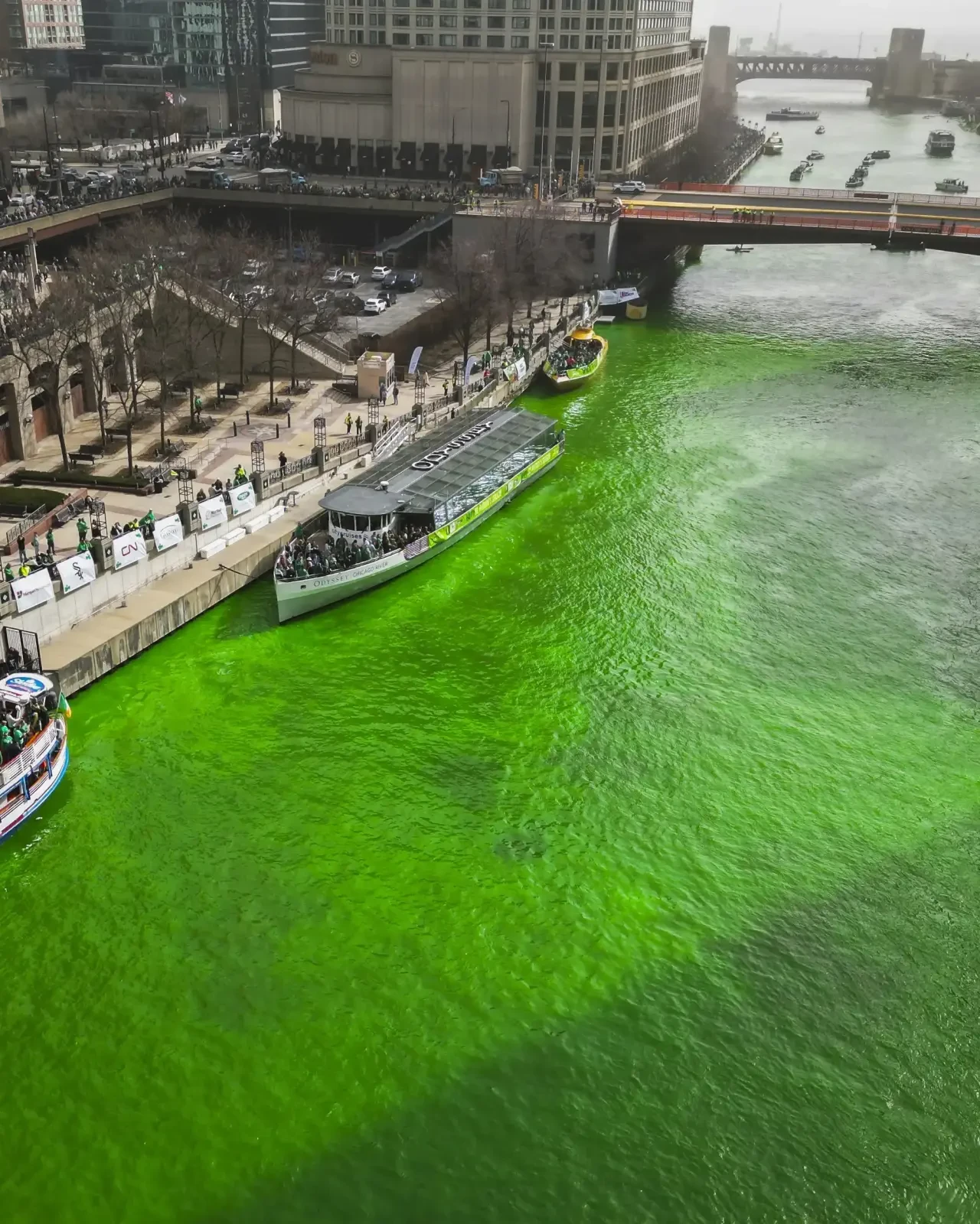 İrlandalıların kutsal Aziz Patrick Günü'nde, Chicago nehri yemyeşil oldu! 5