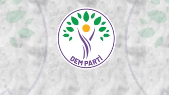 DEM Parti'den 'Başak Demirtaş' açıklaması