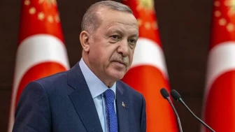 Erdoğan'ın ''cibiliyetsiz'' ve ''ev zencileri'' sözleri yargıya taşındı