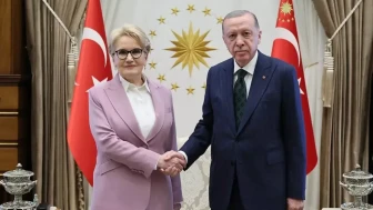 Cumhurbaşkanı Erdoğan, Meral Akşener hakkındaki dava ve şikayetlerden vazgeçti