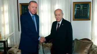 Erdoğan-Bahçeli görüşmesinde neler konuşuldu?