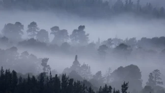 Meteoroloji’den pus ve sis uyarısı