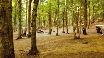 "Belgrad Ormanı, bugünden itibaren Doğa Koruma ve Milli Parklar Genel Müdürlüğü tarafından işletilecektir"