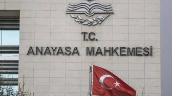 Uluslararası hayvan hakları örgütünden Anayasa Mahkemesi’ne mektup