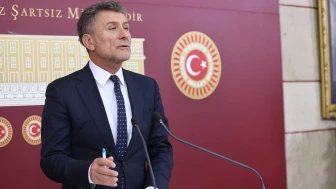 CHP'li Sarıbal: Son 2 yılda 1 milyondan fazla anaç  hayvan kesildi