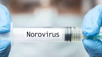 Norovirüs vakaları hızla yayılıyor, uzmanlar uyarıyor