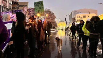 Eylemlerin sevimli destekçileri protestocu köpekler