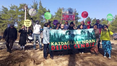 700 bine yakın ağacın katledildiği Kaz Dağları'nda orman köstebek yuvası oldu